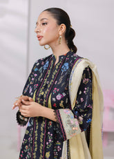 QPrints By Qalamkar Embroidered Lawn 3 Piece Unstitched Suit QLM25QP D-EM-09B PAIGE